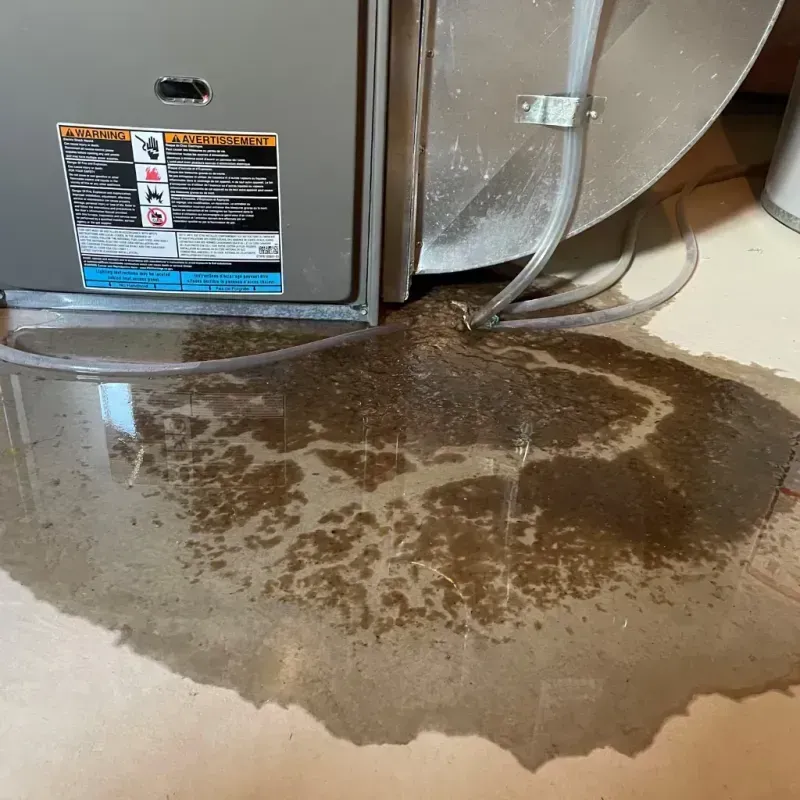 Appliance Leak Cleanup in Banks County, GA